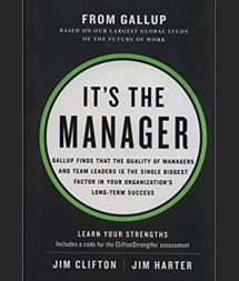 Its-The-Manager-Book